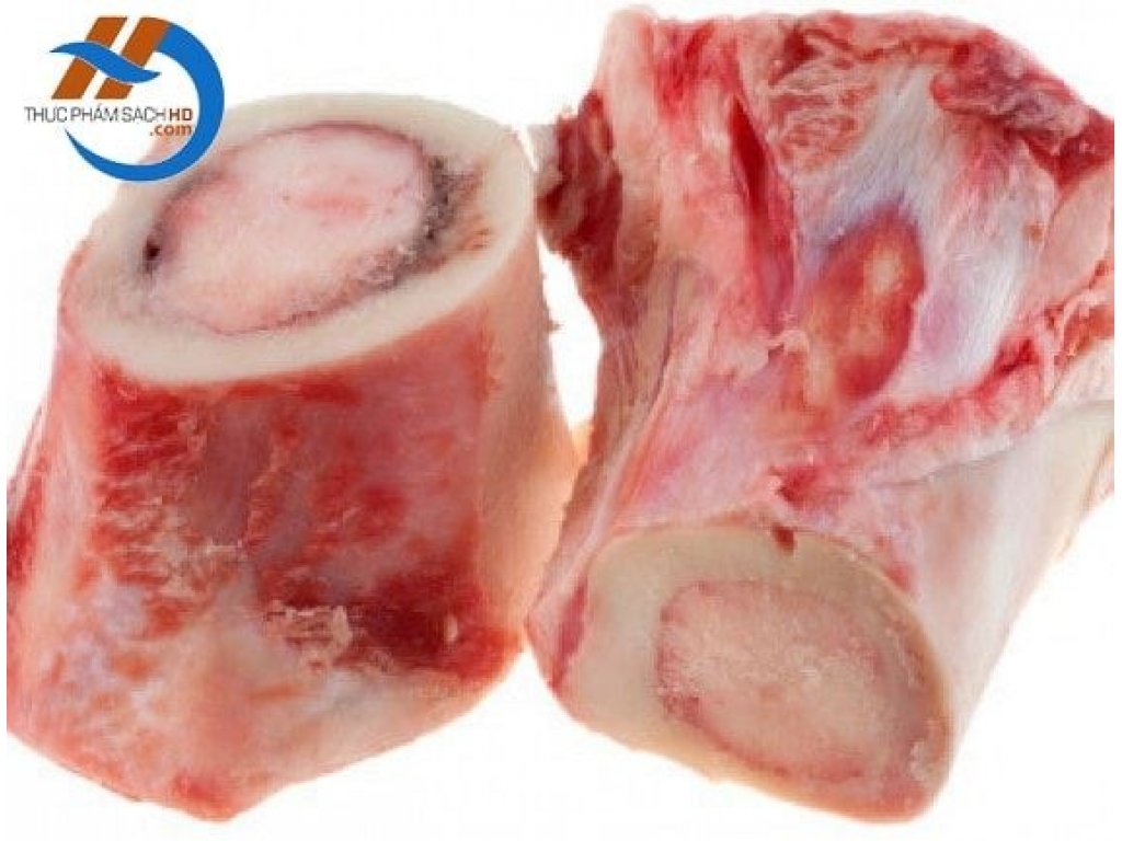 Xương Ống Bò Úc 4 Món(Fermur, Tibia, Radius, Humerus)