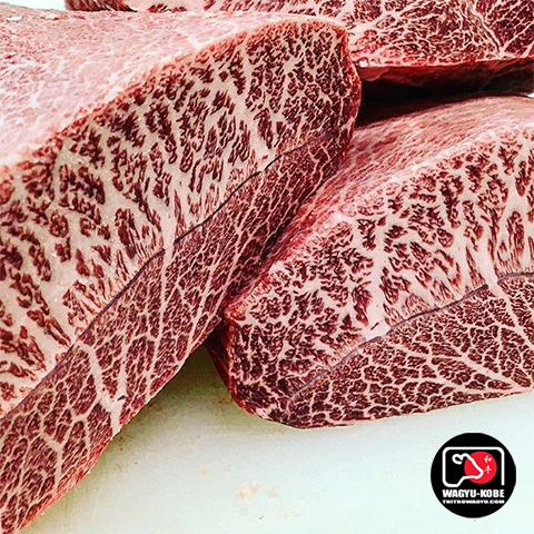 bò wagyu